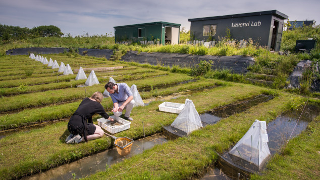 Living lab Leiden University