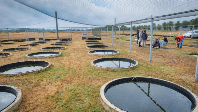 Proeftuin Radboud Universiteit